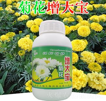 �ջ�����-��������