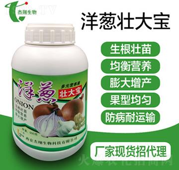 ���[�Ѵ���-��������