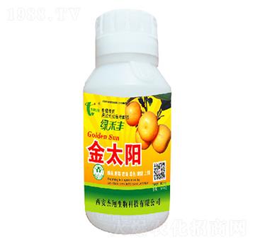 ��̫�-��������