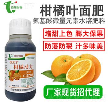 ���ل�(d��ng)����ɫ��-��������