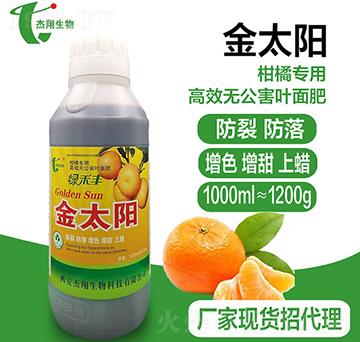 �������������-��̫�-��������