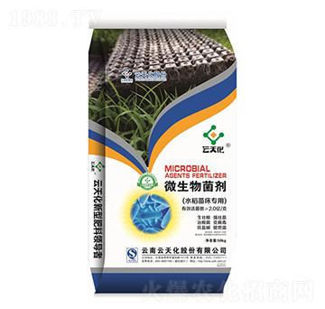 水稻苗床專用微生物菌劑-世紀(jì)云天