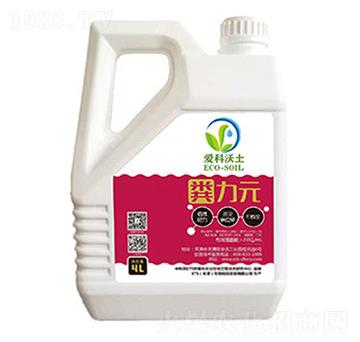 �S��Ԫ-��(��i)������