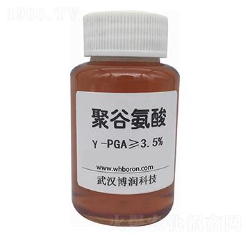 �۹Ȱ����-PGA-��