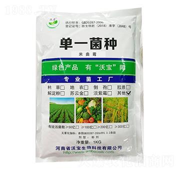 ����ù-�֌�����