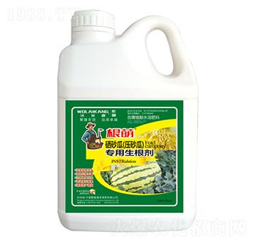 根萌硒砂瓜專(zhuān)用生根劑-麥肯生物