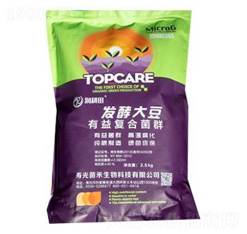 �l(f��)�ʹ������(f��)�Ͼ�Ⱥ-������-��������