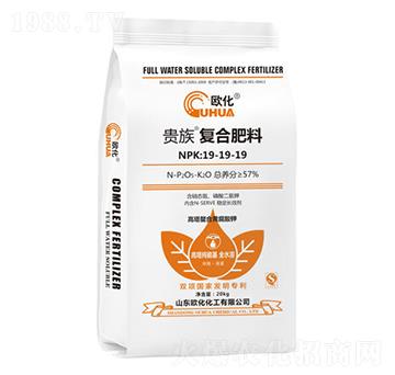 �F���(f��)�Ϸ���19-19