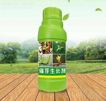 ȫ���ѿ���L(zh��ng)��-��Ԫ��