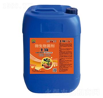 ����΢�������������F�-���r����