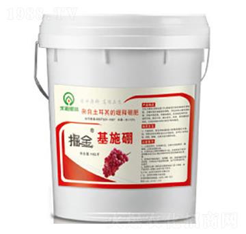 ����ʩ��-�̵�