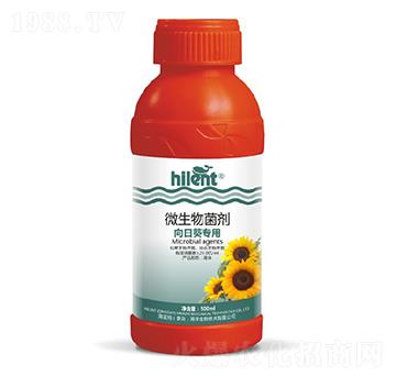 ���տ���(zhu��n)��΢�������-���{(l��n)��