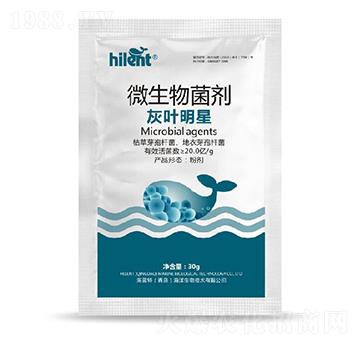 ΢�������-���~����-���{(l��n)��