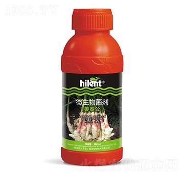 500ml΢�������-��̩��-���{(l��n)��