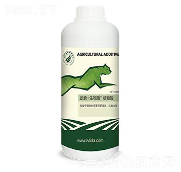 ����ܡ�ֲ����-���}