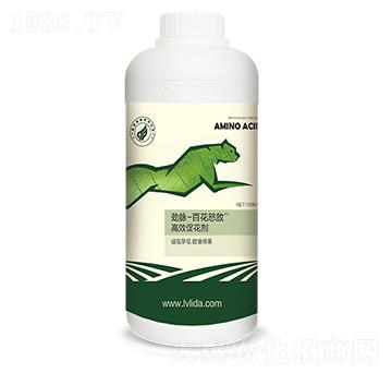 ��Чֲ�ﻨ�����M��-��(y��u)����(y��u)��-���}