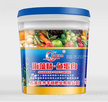 ���徫���~����-�S�T���r(n��ng)