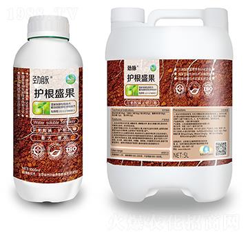 �o(h��)��ʢ��-���}