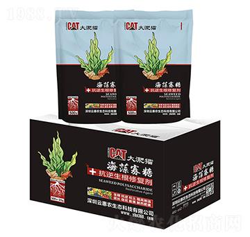 ����؈�������-�ƻ��r