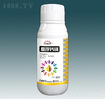 ����Ԫ�ط���-�Ҹ��}�V-�f���t