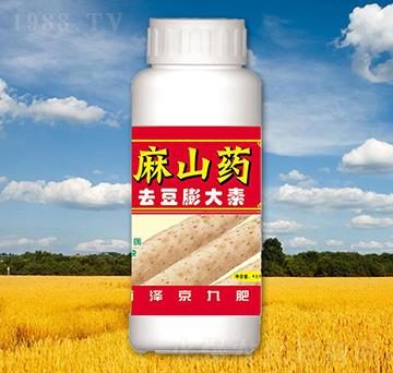 ȥ�������-��ɽˎ-����