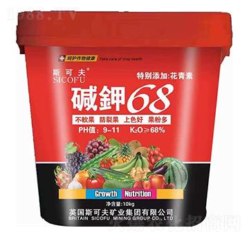 �A�68-�������