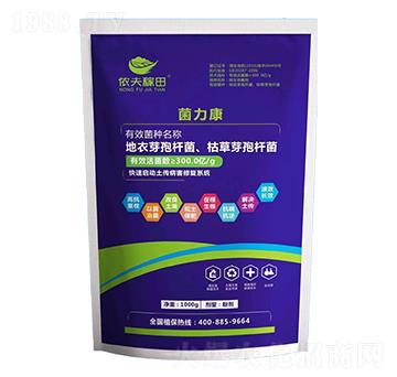 ������-�z�����-���z��