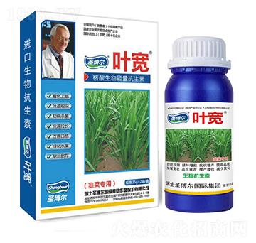 �²ˌ����~���-��������ø�T����-�~��-ʥ��������