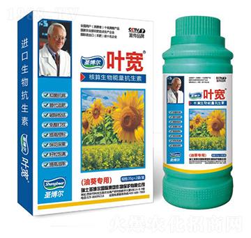 �Ϳ������~���-��������ø�T����-�~��-ʥ��������