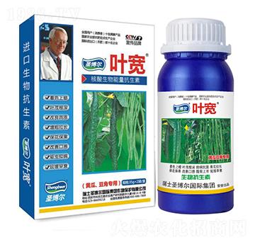 �S�϶��ǌ����~���-��������ø�T����-�~��-ʥ��������