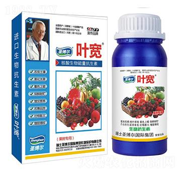 ����(sh��)�����~���-��������ø�T����-�~��-ʥ��������