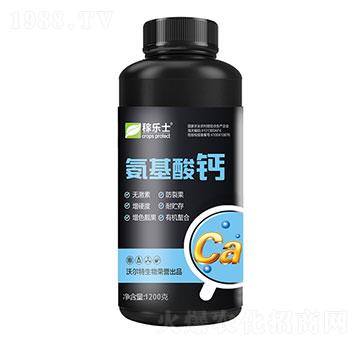 �������}-�֠���