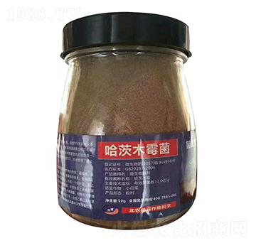 ����ľù��-��ϲ