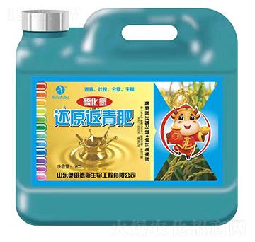 ߀ԭ�����-�򻯚�-�W�׵�˹