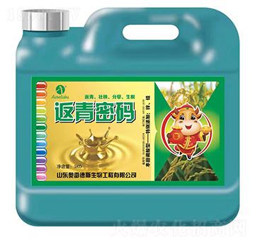 �����ܴa-�W�׵�˹