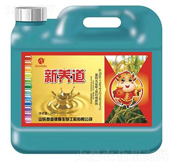 ���B(y��ng)��-�W�׵�˹