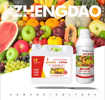 ˮ������ֲ��I�B(y��ng)��-��������