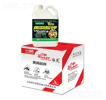 5kg�S�����-�A�����Z