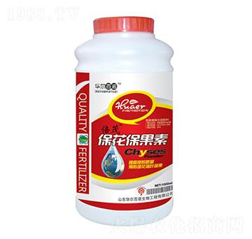 ����������-�A�����Z