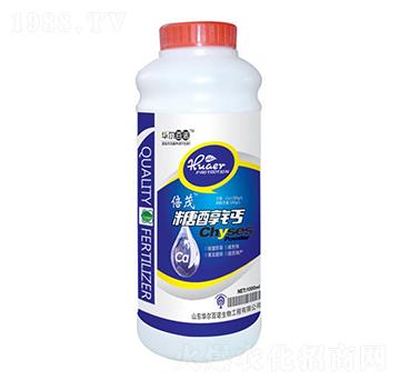 �Ǵ��}-�A�����Z