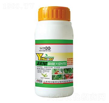 �߲˶�S�����L��-�A�����Z