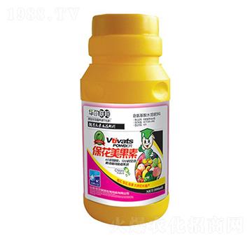 ����������-�A�����Z