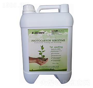 ����-������-�ֲ���