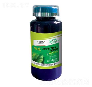 �S�~С�~һ���`-�A�����Z