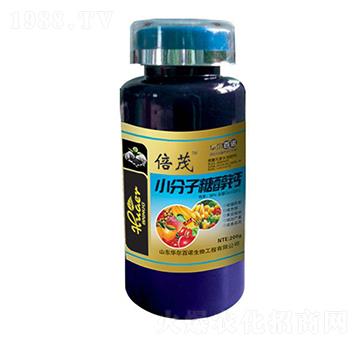 С�����Ǵ��}-�A�����Z