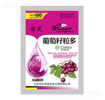 ����������-�A�����Z