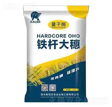 �F�U����-��(l��)�r(n��ng)�I(y��)