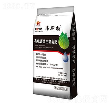 �ЙC̼΢�������-�f˹��-���r(n��ng)�I(y��)