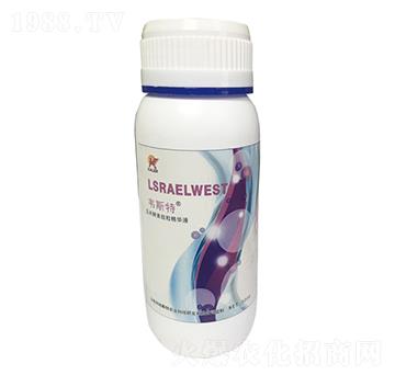 ���׽�������������AҺ-�f˹��-��(l��)�r(n��ng)�I(y��)