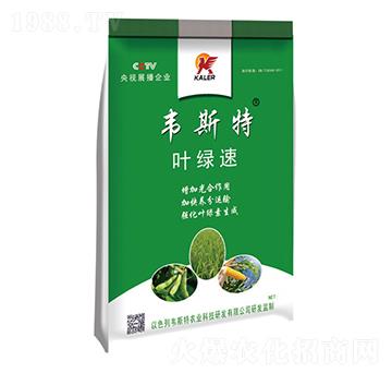 �~�G��-�f˹��-���r�I(y��)